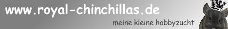 Banner der Chinchilla Hompage www.royal-chinchilla.de